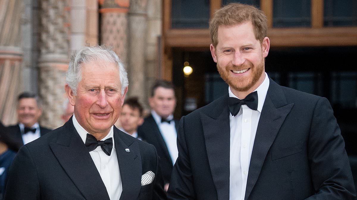 Sunrise's Natalie Barr fears that royal tell-all Endgame will 'ruin' peace talks between Prince Harry and King Charles amid resurfaced racism claims