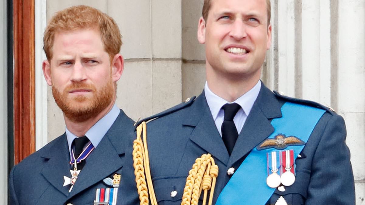 Prince William 'has only read passages of Spare', but rejected two attempts by Harry to set up a meeting via a mutual friend in the months after publication, Omid Scobie book claims