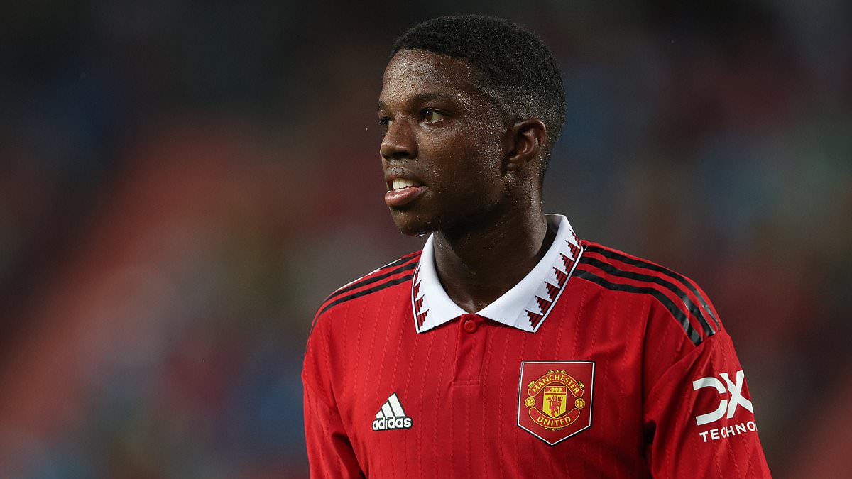 Man United left-back Tyrell Malacia 'ruled out until early next year'