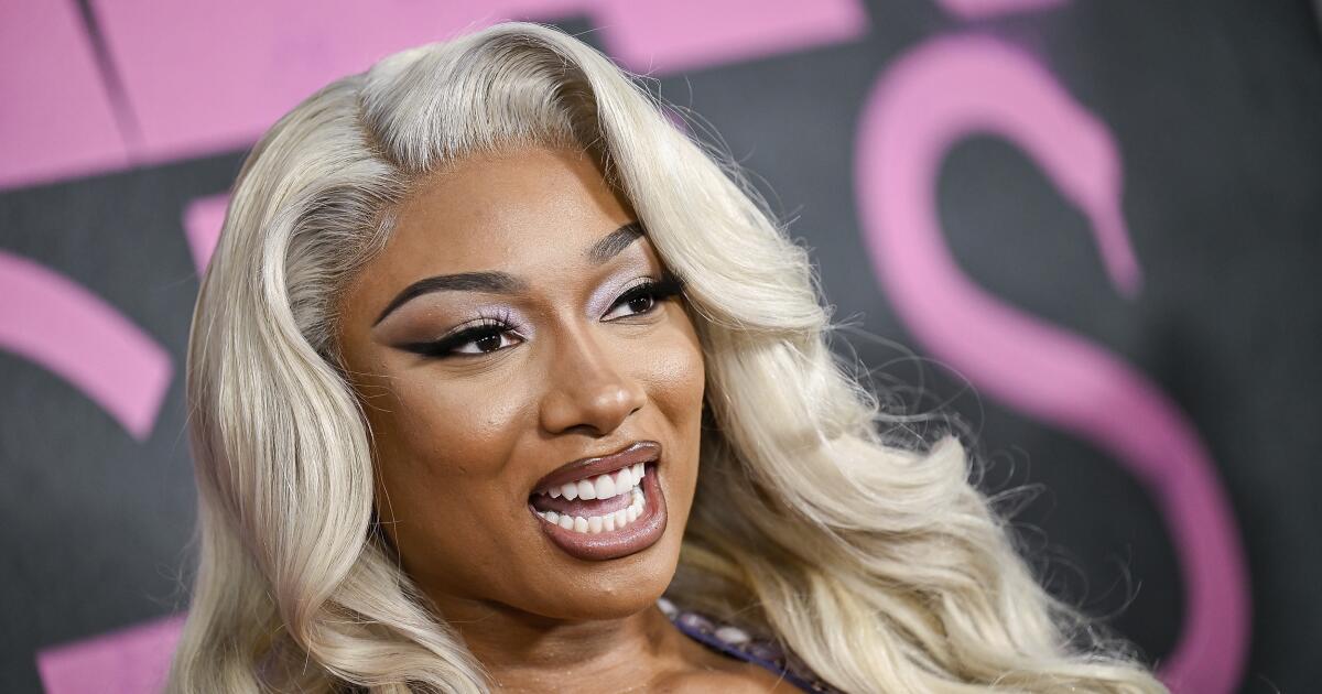 Megan Thee Stallion, Roc Nation sued by personal cameraman, who makes a provocative allegation