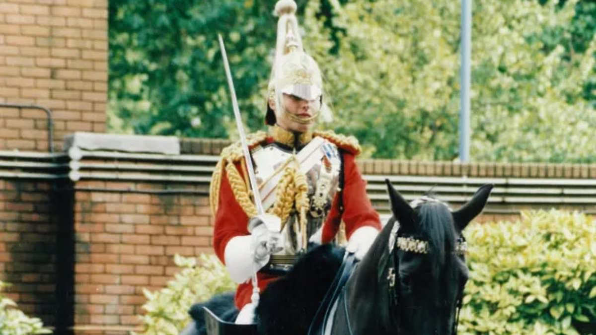Escaped Household Cavalry horses that sparked panic in London are part of singer James Blunt's old regiment the Life Guards
