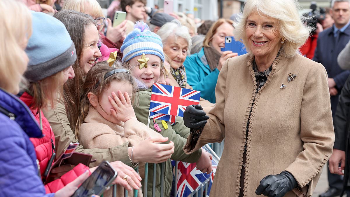 How Camilla kept the wheels turning: The Queen's natural warmth and dedication to duty has brought smiles to the faces of royal fans in Charles's absence - as the King gets the green light to return to royal engagements