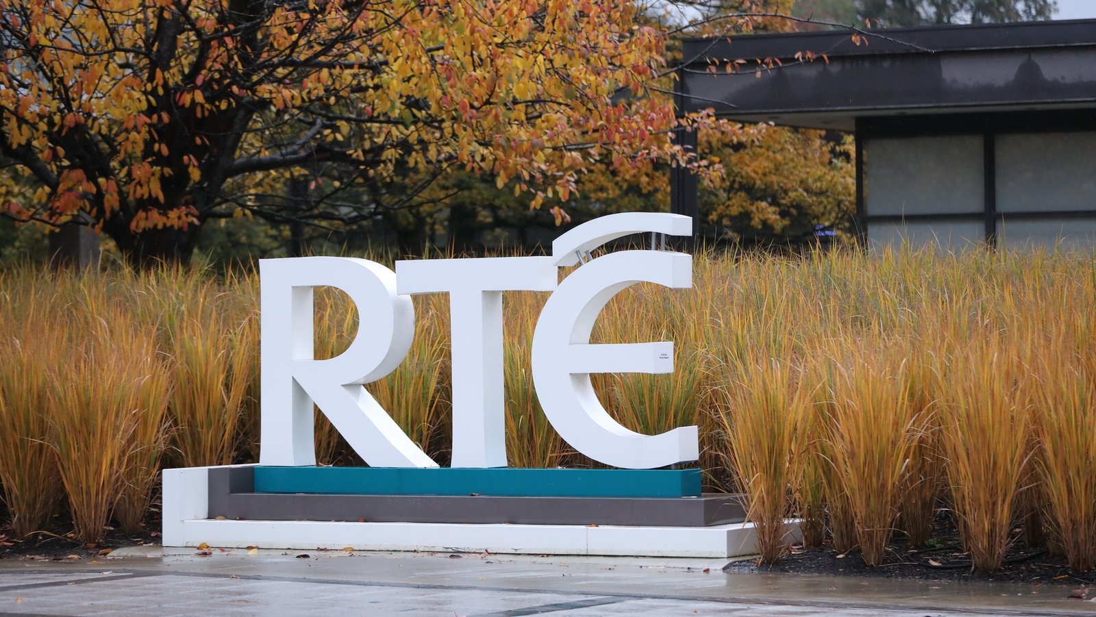 RTÉ Board not told of decision to set up barter account