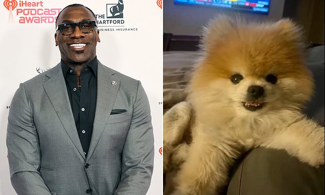 Shannon Sharpe announces his 'beloved' and 'favorite' dog's death