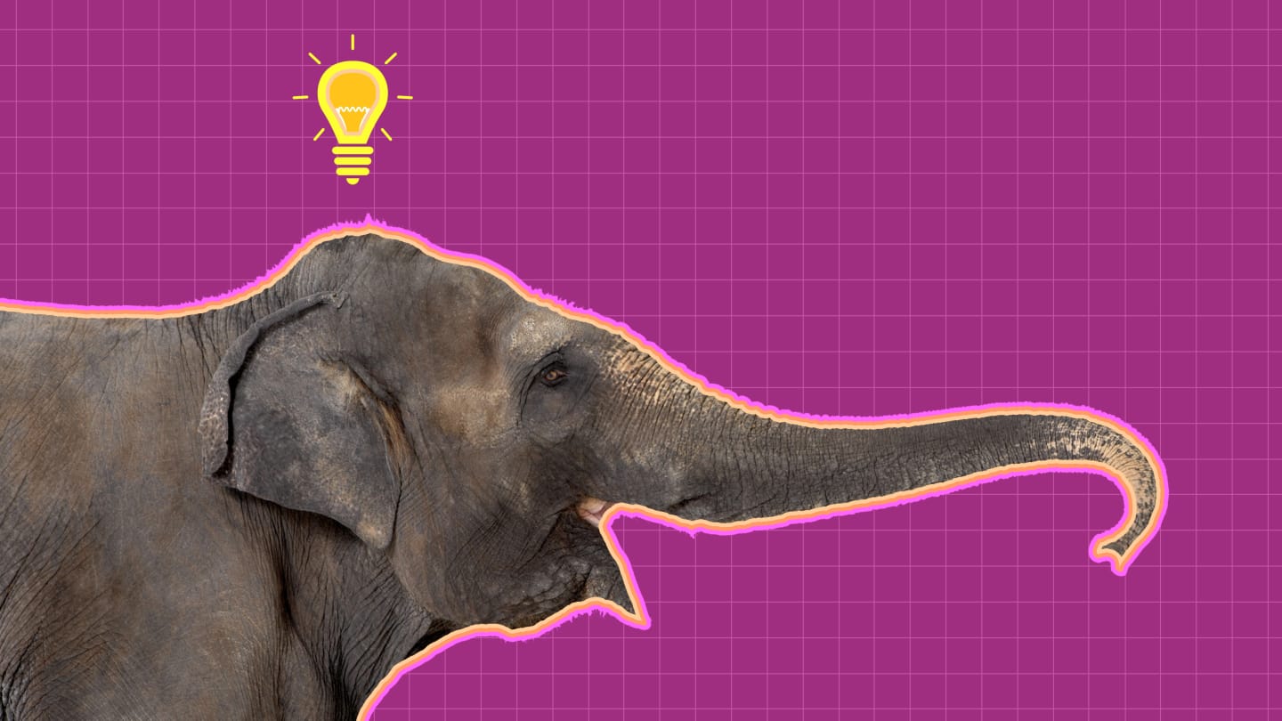 7 Behaviors That Show Elephants Are Incredibly Smart