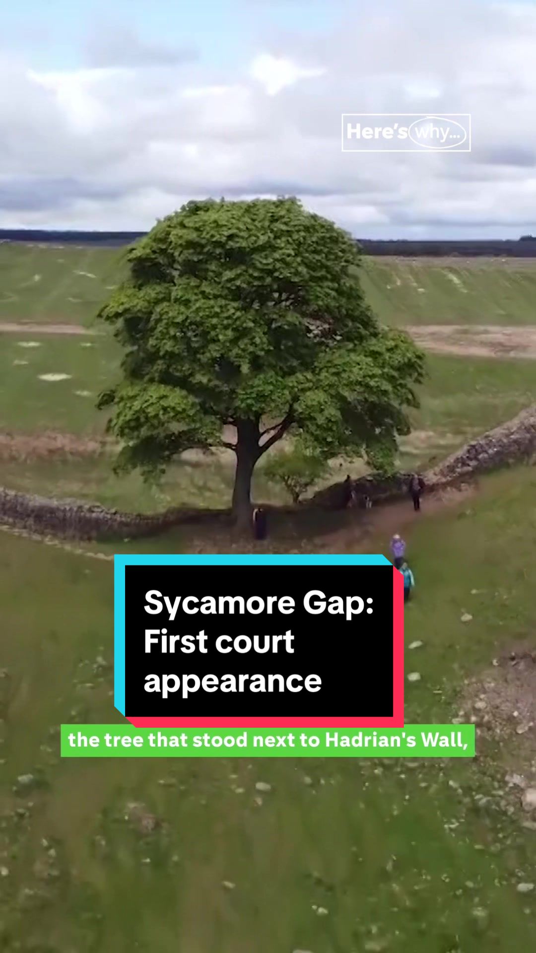 Two men - wearing balaclavas and suits - have appeared in court for the first time, charged with chopping down the famous Sycamore Gap tree #sycamoregap #sycamoregaptree #northumberland #worldheritagesite #hadrianswall