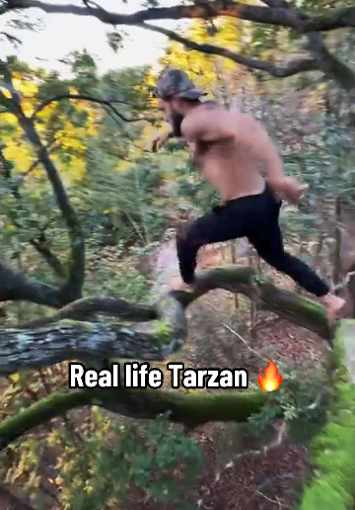 Woah 😯 (via leo.urban/IG) #tree #climb #skill #tarzan