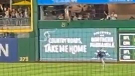 Horrifying moment MLB fan plunges from the stands and crashes onto field mid-game