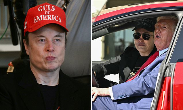 Tesla began searching for CEO to replace Elon Musk amid stock turmoil