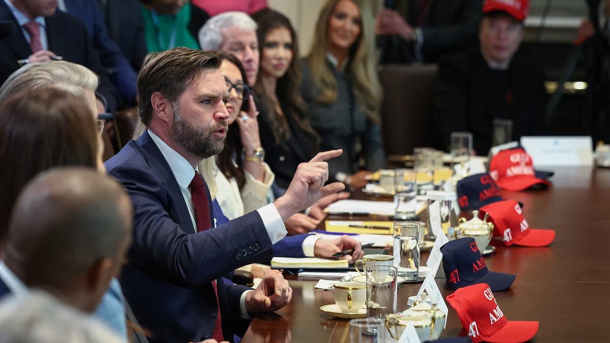 JD Vance erupts over press focus on 'fake BS' during spectacular rant at Trump's Cabinet meeting
