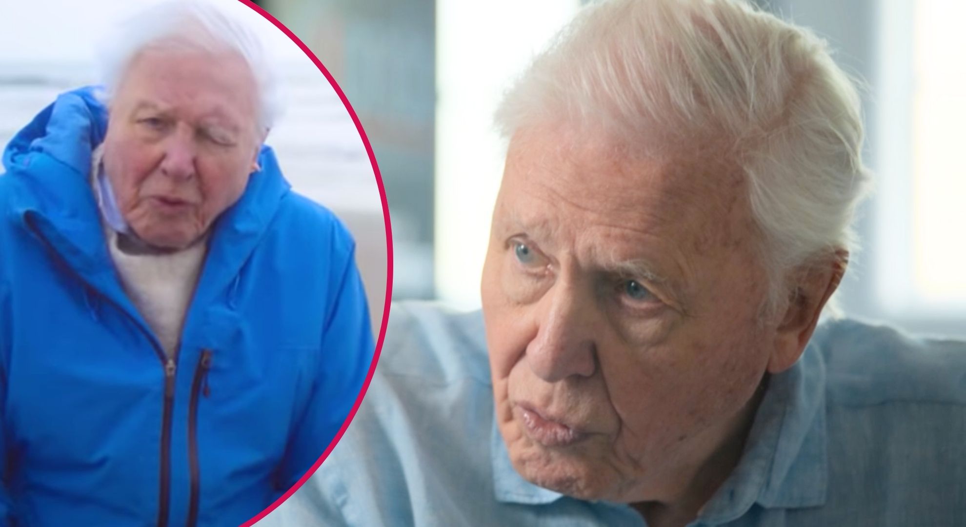 Sir David Attenborough shares heartbreaking statement as he admits he’s ‘nearing the end of his life’