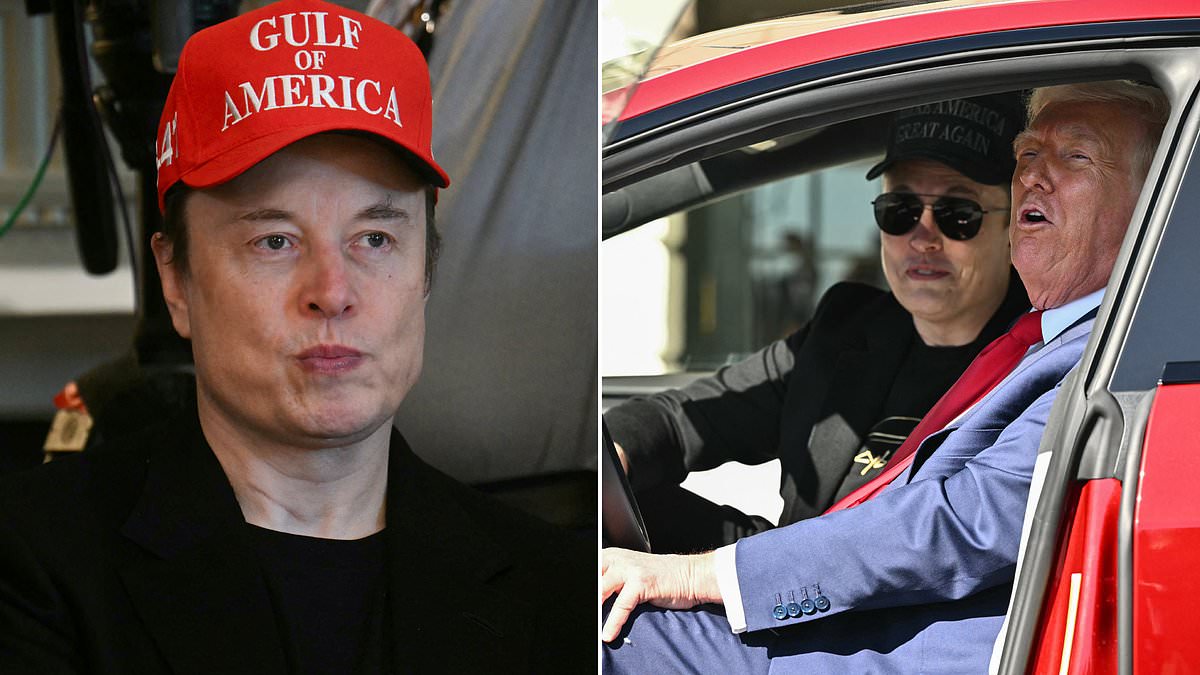 Tesla searches for new CEO to replace Elon Musk amid stock turmoil and forces White House exit