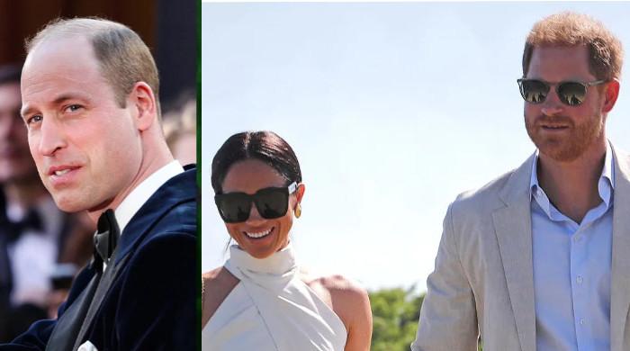 Could Prince William strip Harry, Meghan's titles as king? Explained