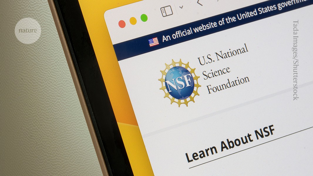 Exclusive: NSF stops awarding new grants and funding existing ones