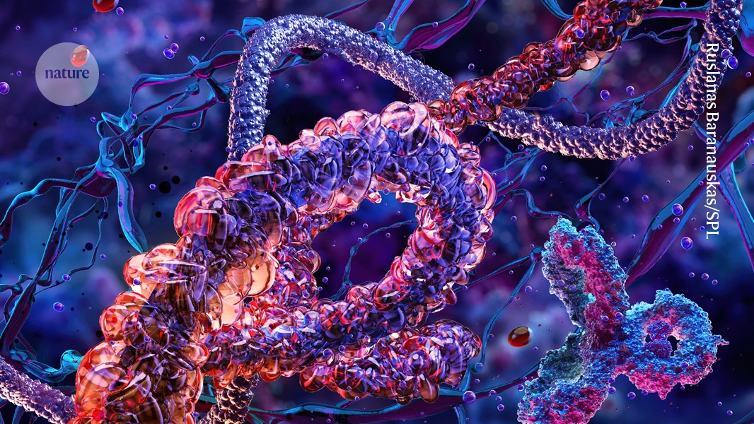 Powerful protein editors offer new ways of probing living cells