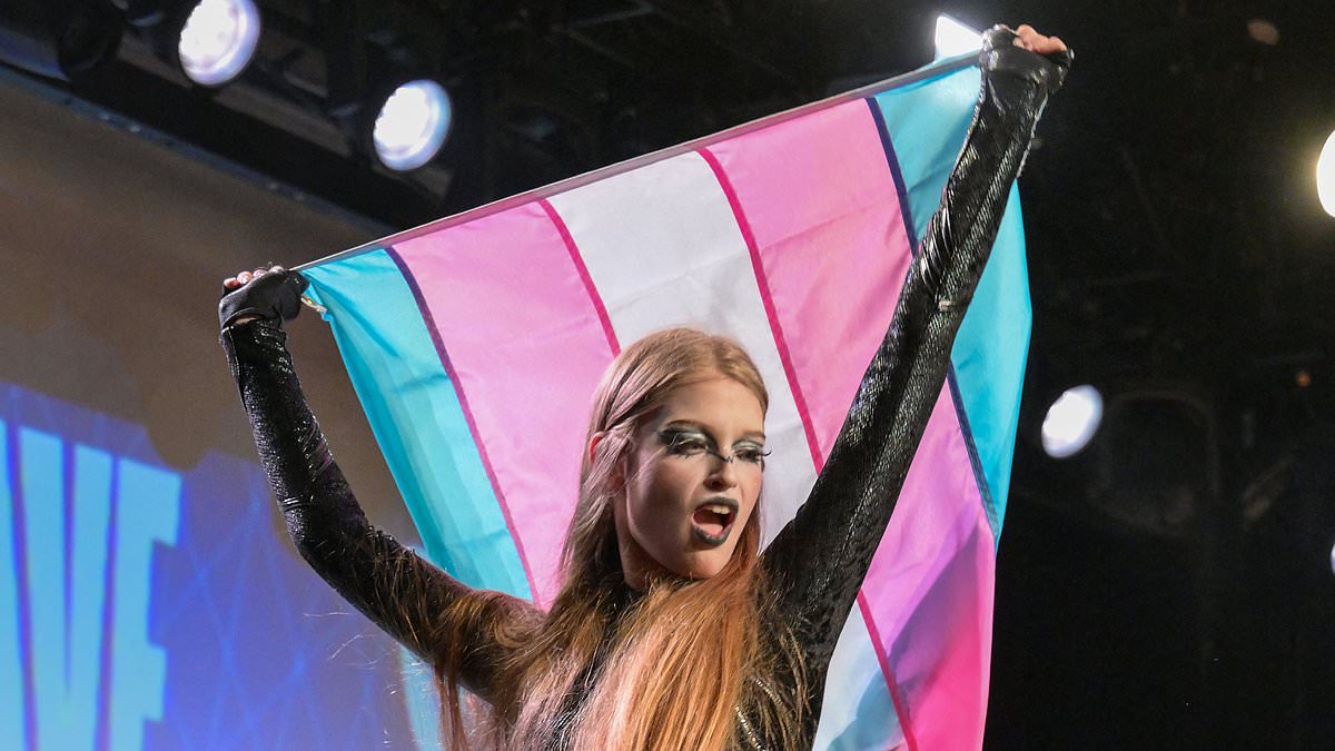 Elon Musk's transgender daughter Vivian Jenna Wilson dances with Trans Pride flag at drag show raising cash for immigrants' legal bills