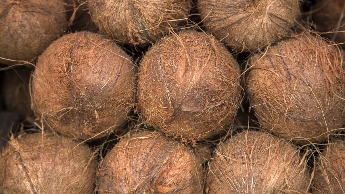 Coconuts and meth: The story behind NZ's largest pseudoephedrine prosecution