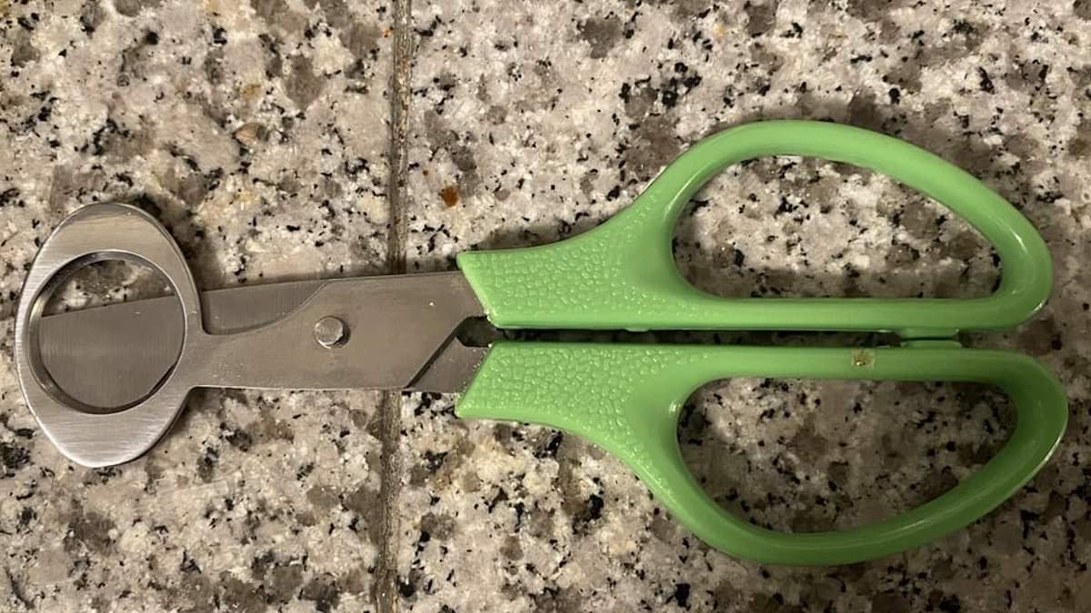 I moved into my parent's home after they passed away and found a bizarre object with an unusual use