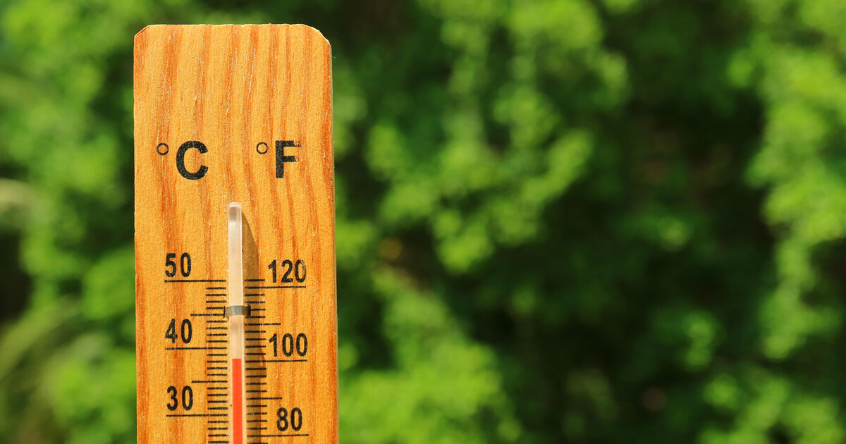 Heatwave? 'A fine summer's day' due this week as temperatures set to hit 23C