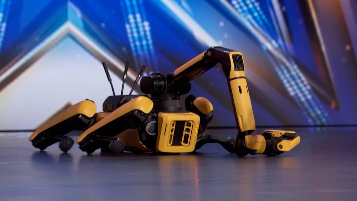 Even robots get stage fright! Watch the horrifying moment a robot dog COLLAPSES on stage during America's Got Talent audition