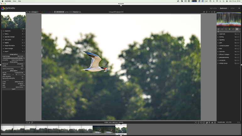 Is Darktable 5.0 Finally Usable?