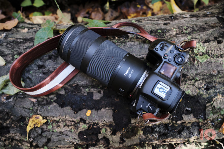 Is Canon Working on Two Telephoto Zooms for Bird Photographers?