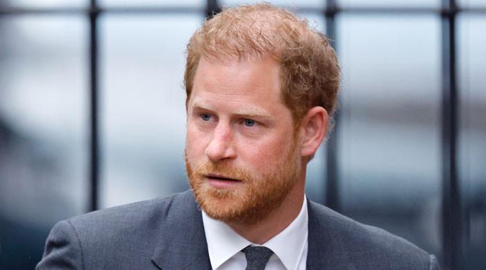Prince Harry's role shrinks from royal duties to Meghan's phone holder