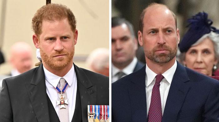Prince Harry supports Prince William’s key decision in shock move
