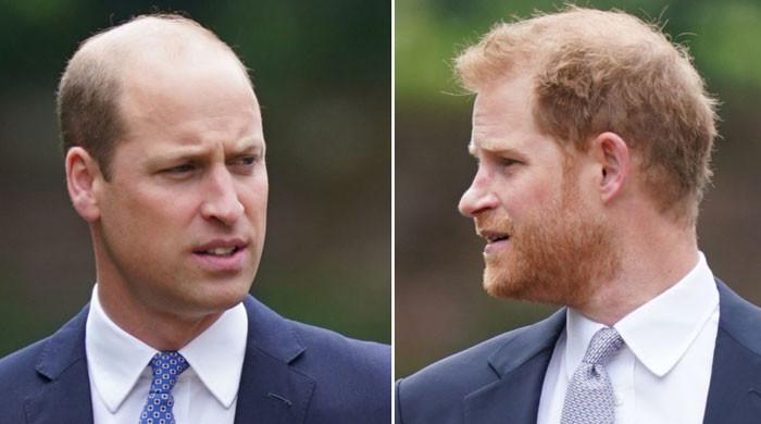 Prince William has big plans excluding Prince Harry