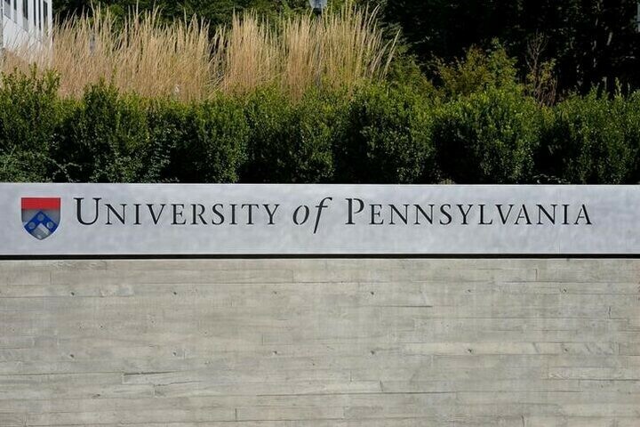 UPenn bans transgender athletes following swimming furore