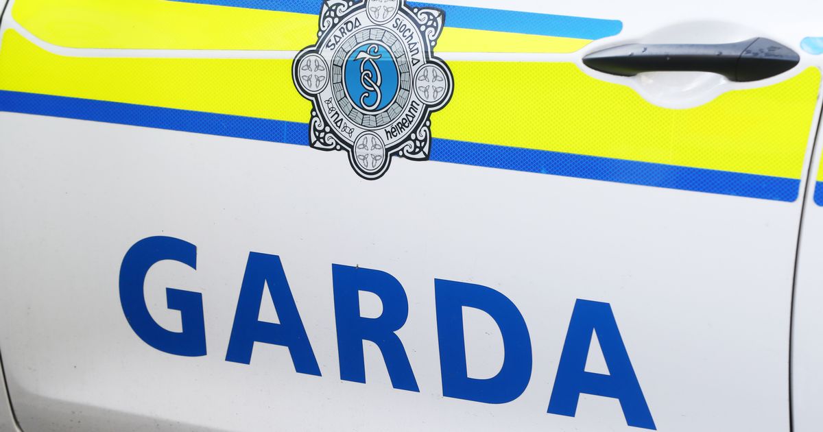 Man who dragged visually impaired child from mother and spat blood at garda walks free