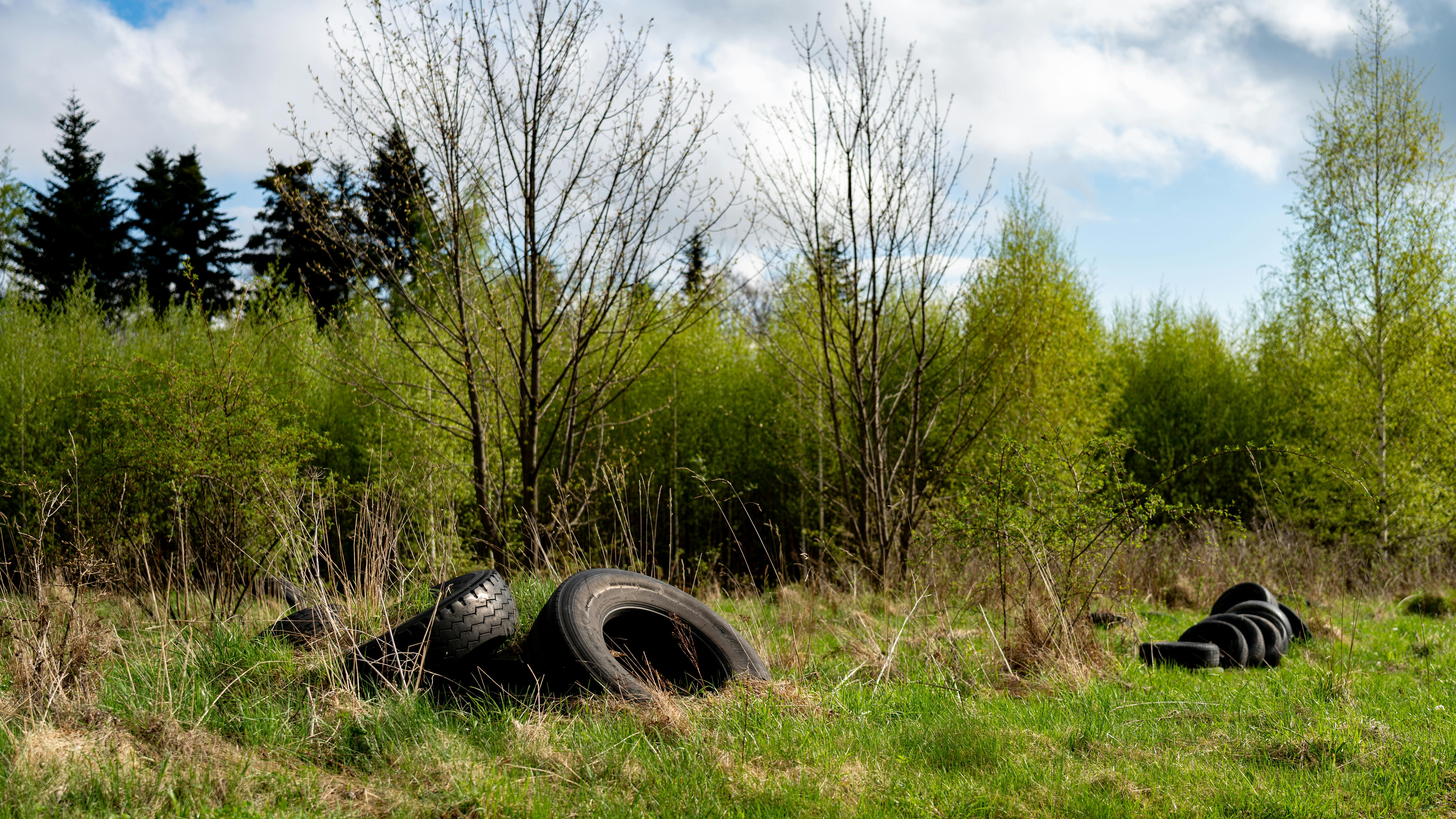 Audit Office: damning report shows profits from illegal dumping in Northern Ireland outweigh sanctions