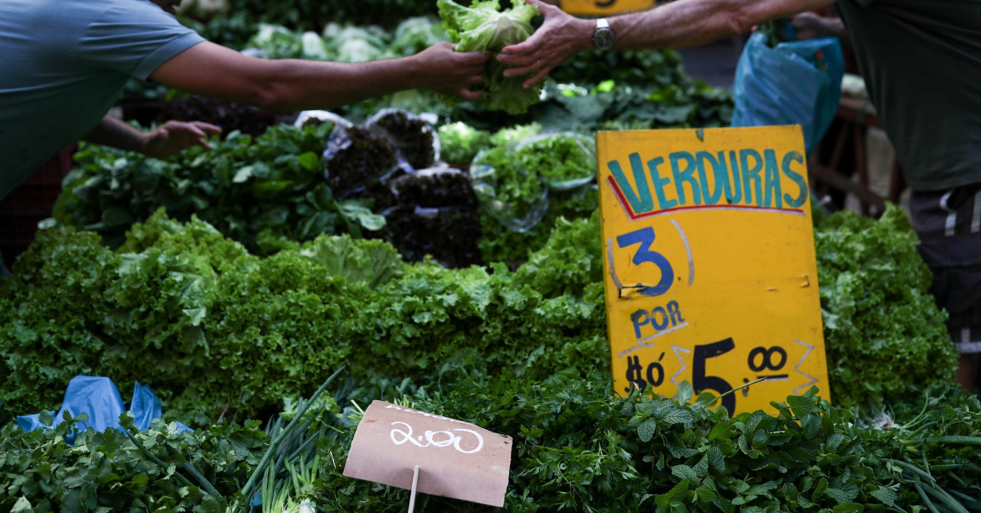 Brazil's monthly inflation slows, annual rate remains above target