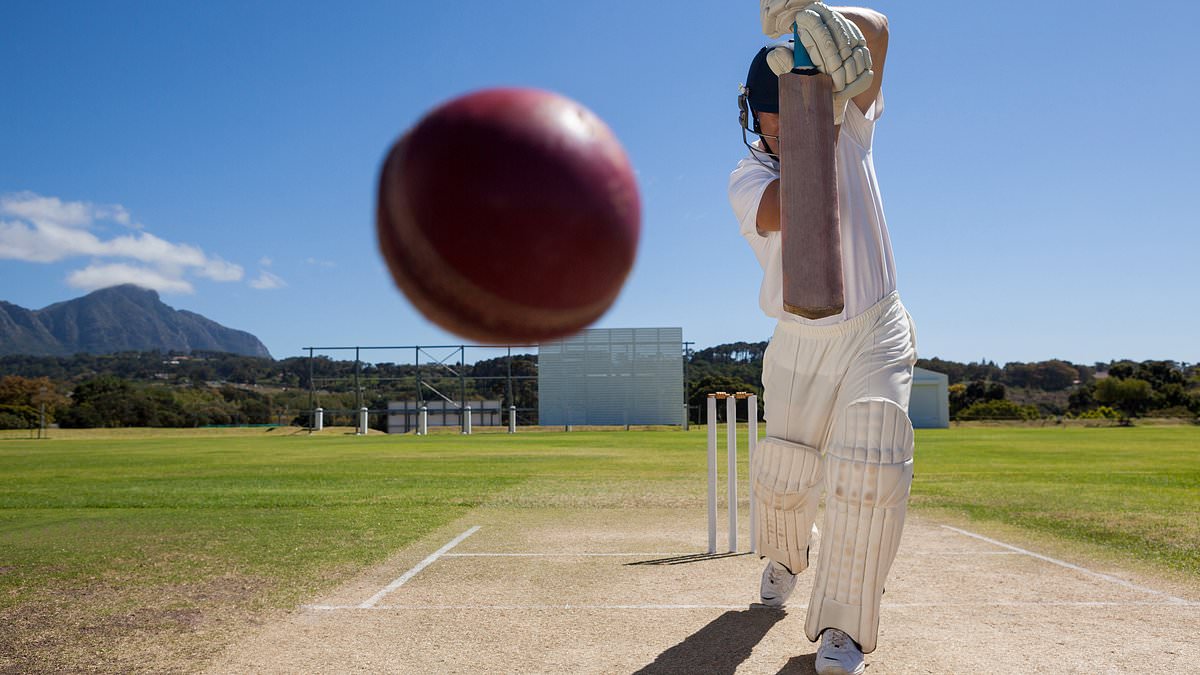 New study could help reduce number of sports-related head injuries - and deaths from catastrophic impacts