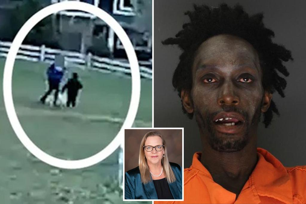 Exclusive | Colo. Dem DA 'will be recalled' for moving to dismiss charges against...