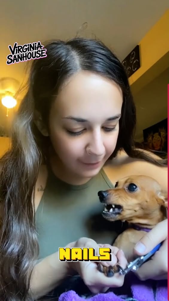 It’s just a paw-sitive tragedy!&quot; 🎭🐕