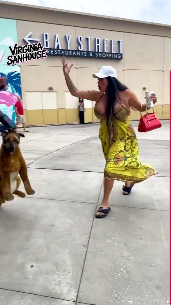 Dog Pranks That’ll Make You Smile