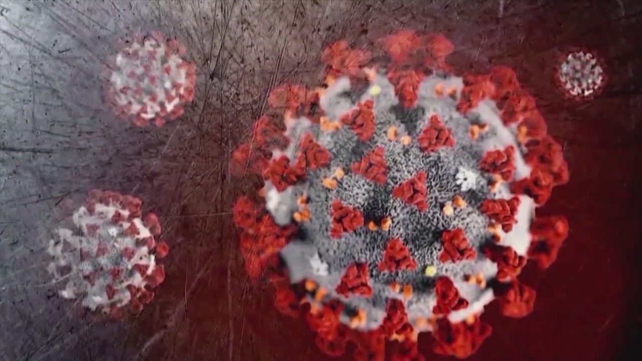 Vaccine skeptic to lead CDC COVID immunization working group