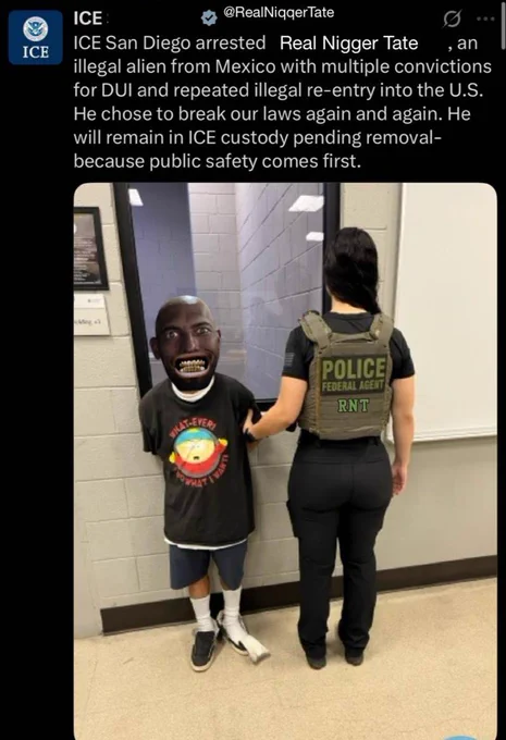 RT by @Cobratate: He got arrested on purpose. $RNT pic.twitter.com/AGME8177nD