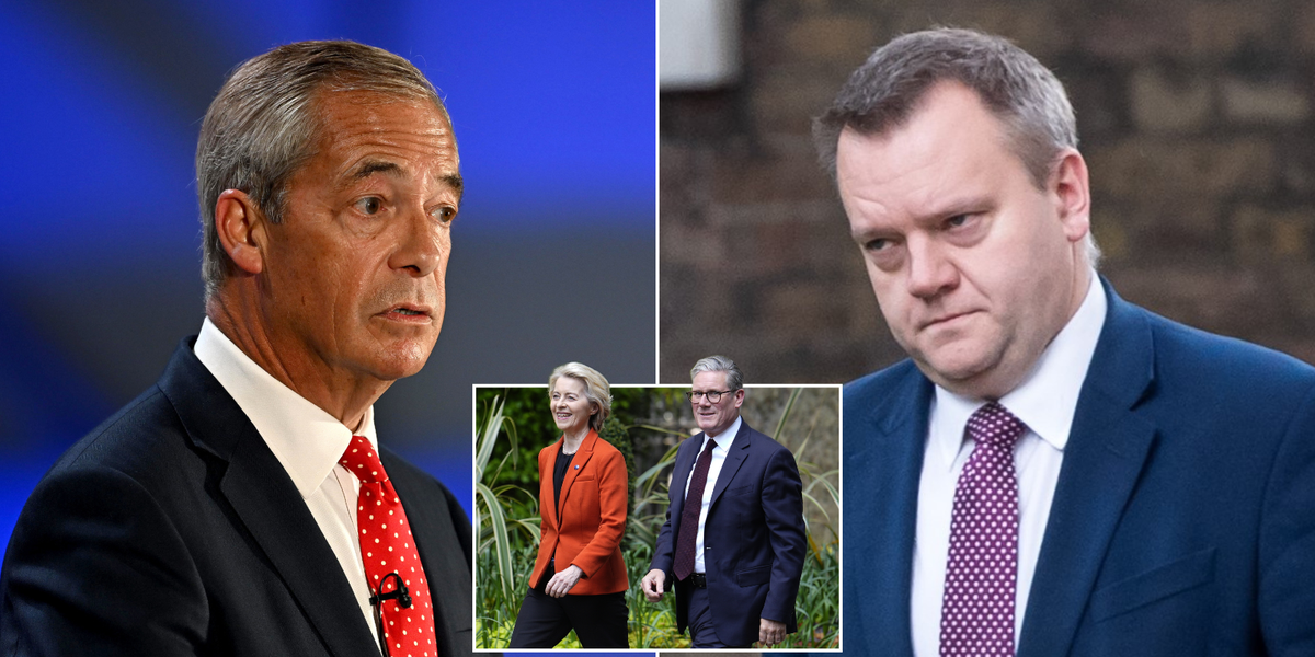 Labour's EU negotiator wages war on Nigel Farage amid plans to 'permanently align' Britain with Brussels