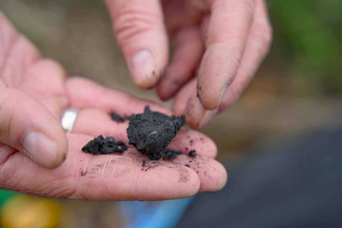 Terraton wants to be the McDonald’s of biochar