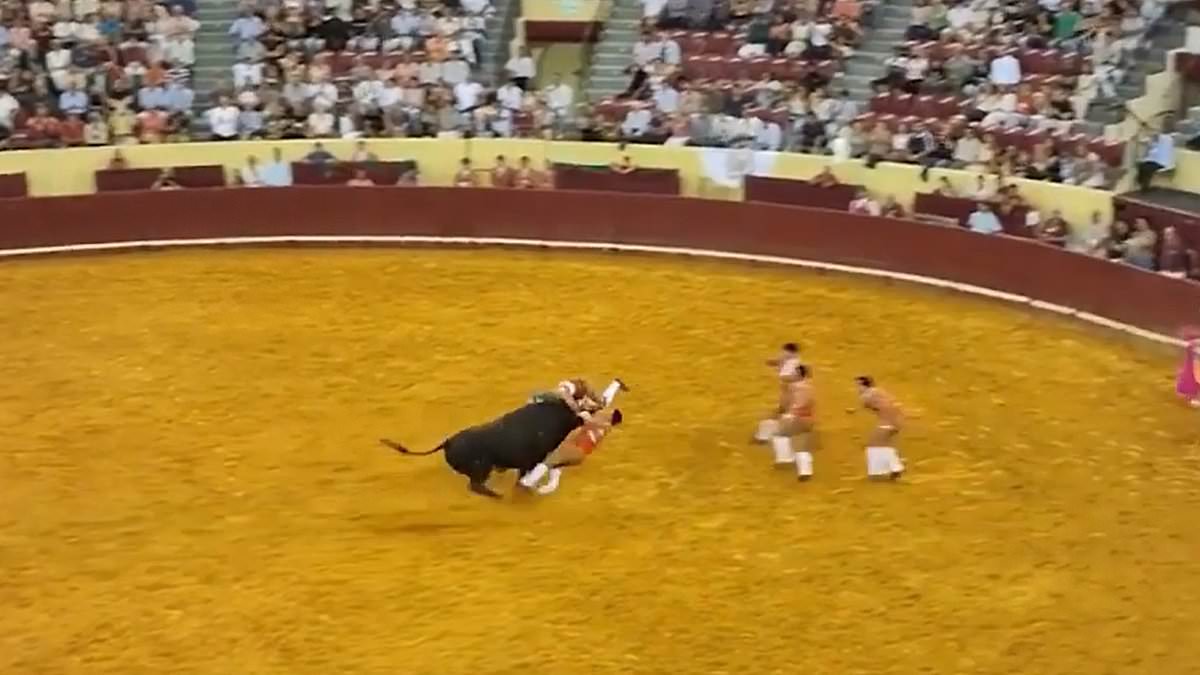 Devastated mother of bullfighter killed by rampaging 1,500lb beast in Portuguese arena hits back at trolls for 'rejoicing over her son's death'