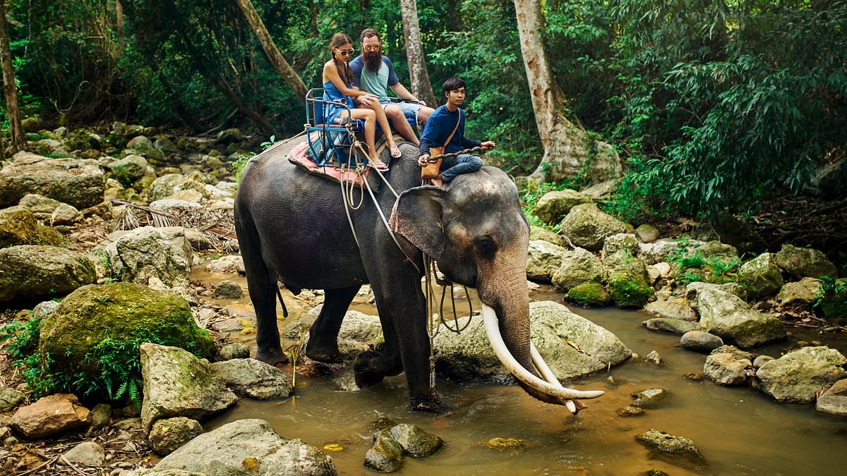 Thailand's underbelly exposed: Yes it's beautiful and families flock there - but there's a side no one talks about, writes LOLA MENDEZ... until now