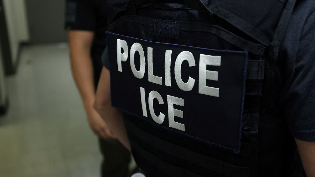 Liberal Senate candidate calls illegal aliens 'everyday Americans'