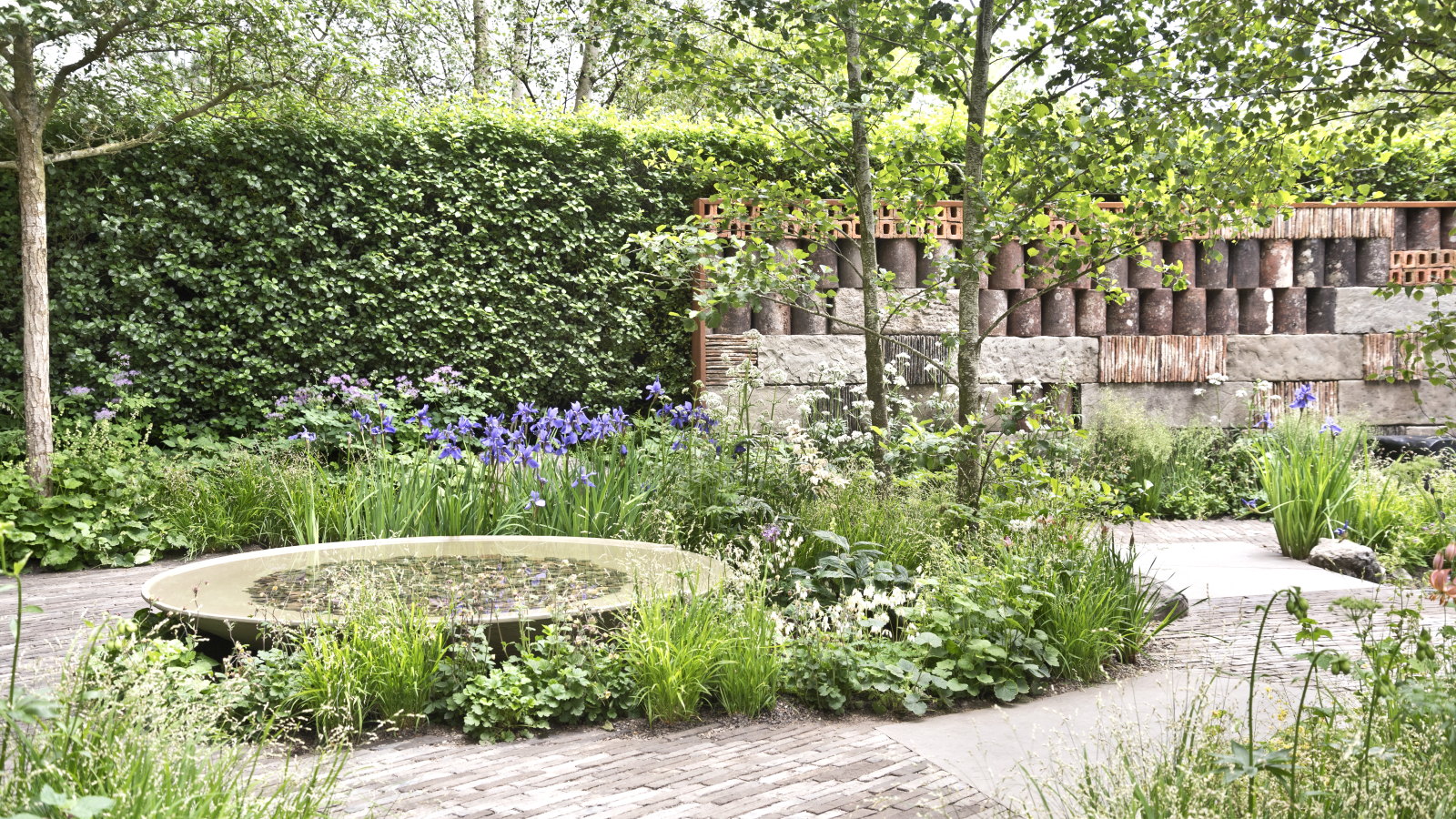7 perennials to plant in September for spring blooms – have glorious displays throughout the season with our expert selection