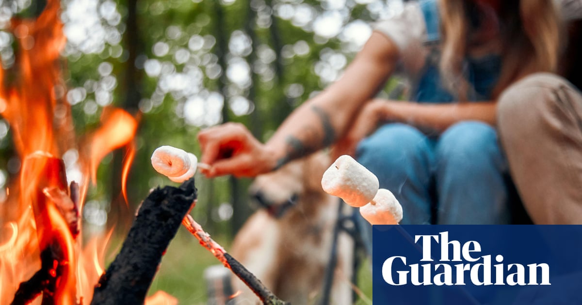 ‘I watched the children uncurl’: people share stories of affordable UK camping holidays