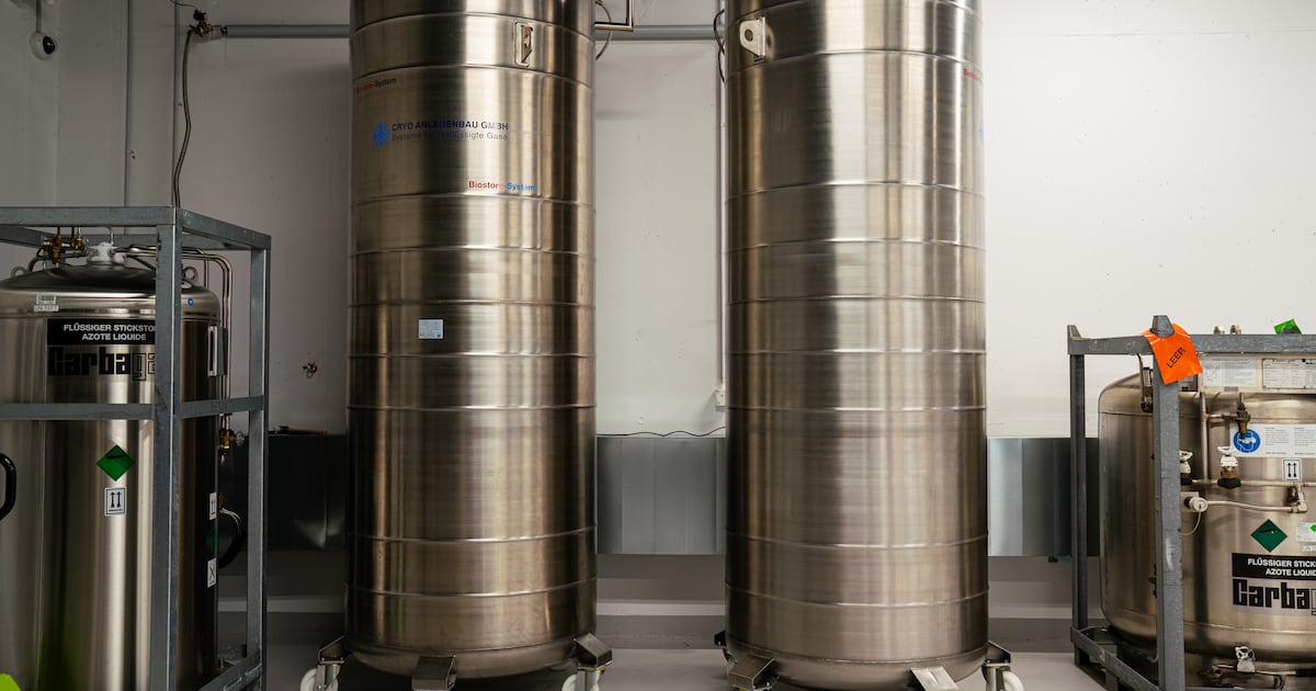 ‘I’m a fighter’: The Irish people paying to cryopreserve their bodies for life after death