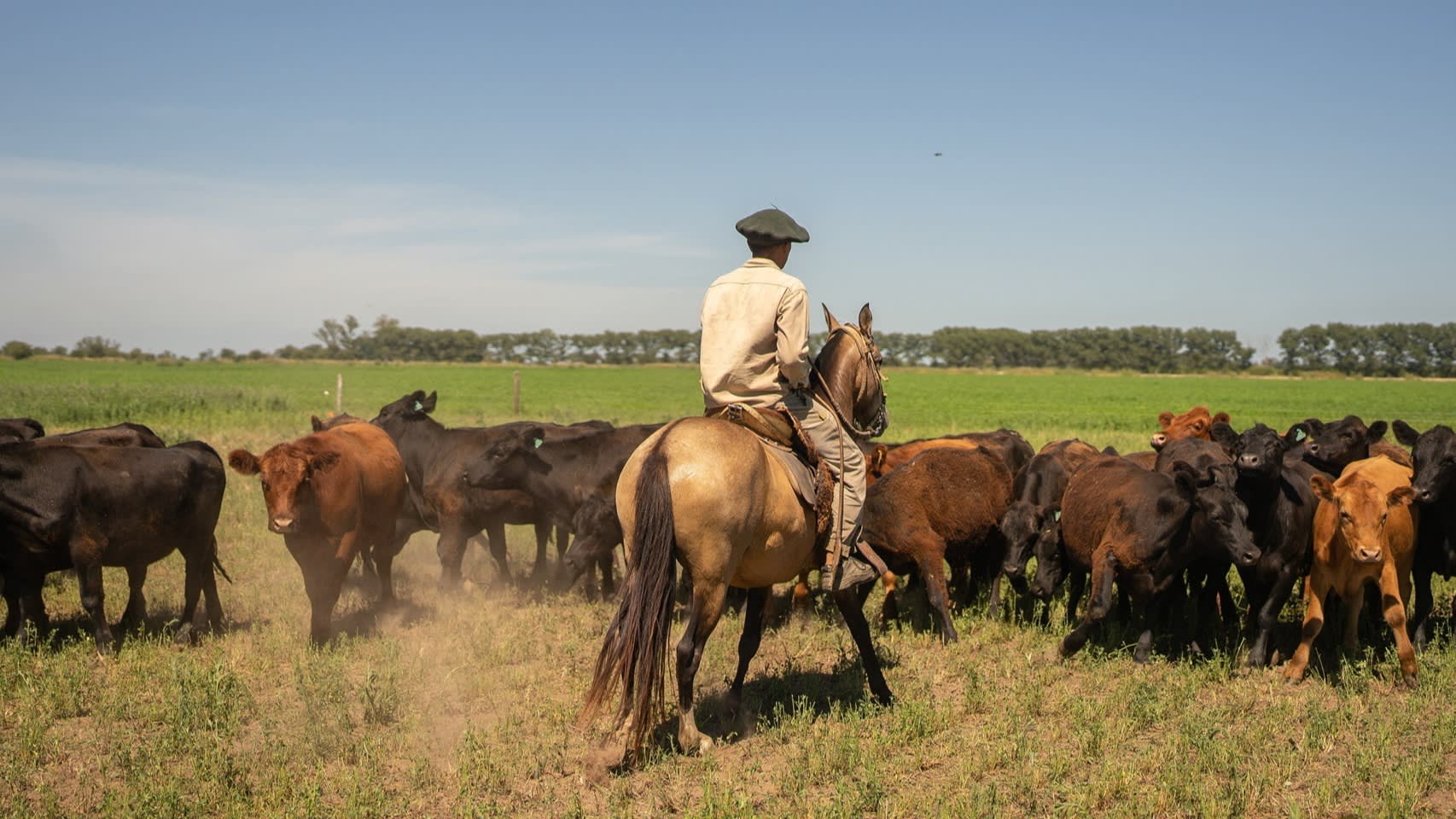 A strong case for the EU-Mercosur trade deal