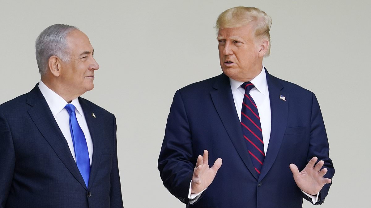 Trump 'declared Netanyahu