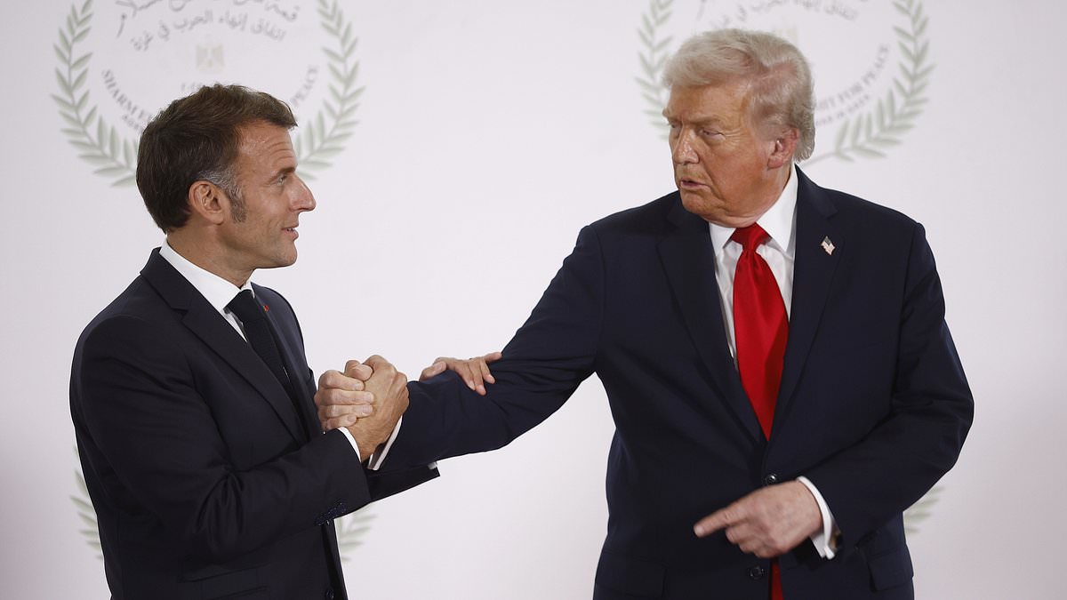 Lip reader weighs in on Trump-Macron exchange
